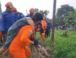 Putri Dwiyana, Wanita ODGJ Yang Memanjat Sutet di Bogor, Akhirnya Turun Selamat