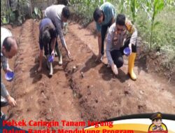 Dukung Ketahanan Pangan, Polsek Caringin Polres Bogor Lanjutkan Tanam Bibit Jagung