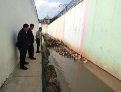Budidaya 100 Bebek Petelur Dalam Mendukung Program Ketahanan Pangan