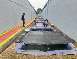 Budidaya Ikan Jadi Pilihan Program Pembinaan Kemandirian Di Lapas Pasuruan