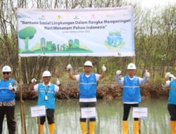 Komitmen Hijau PT PLN IP UBP Banten 3 Lontar Dan PLN EPI Dalam Rangka Hari Menanam Pohon Indonesia Tahun 2024