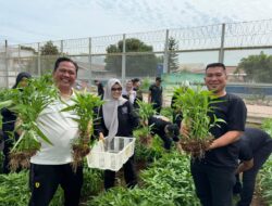 Lembaga Pemasyarakatan Kelas 1 Tangerang Gelar Panen Raya untuk Dukung Program Ketahanan Pangan