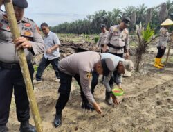 Dukung Ketahanan Pangan Nasional, Polsek Bukit Kapur Maksanakan Kegiatan Penanaman Benih Jagung
