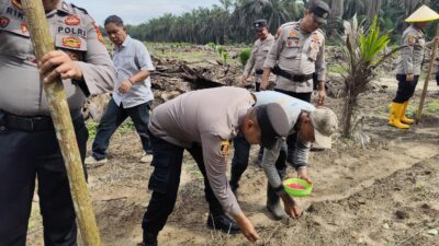 Dukung Ketahanan Pangan Nasional, Polsek Bukit Kapur Maksanakan Kegiatan Penanaman Benih Jagung