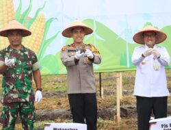 Dukung Program Asta Cita dan Ketahanan Pangan Polres Pelalawan Siapkan 134 Hektar Lahan