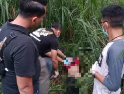 Kurang dari 24 jam, Polres Metro Tangerang Tangkap Pelaku Pembunuhan Gadis di Pinggir Kali Cisadane Tangerang