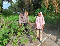 Polsek Rumbai Pesisir Dorong Pemaanfaatan Lahan  Produktif Untuk Ketahanan Pangan