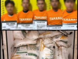 Polsek Minas Ungkap Kasus Penggelapan Pupuk Milik PT Arara Abadi