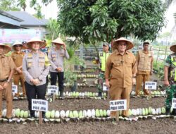 Kapolres Pidie Jaya dan Pj. Bupati Luncurkan Penanaman Serentak Pekarangan Pangan Bergizi