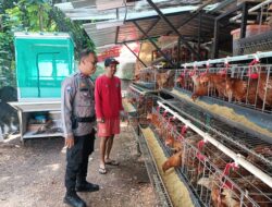 Bhabinkamtibmas Ciketingudik: Penggerak Ketahanan Pangan Melalui Dukungan Peternakan Lokal