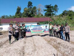 Kapolsek Suro Makmur IPDA Syarudin Adakan Launching Penanaman Serentak Pekarangan Pangan Bergizi Di Desa Pangkalan Sulampi