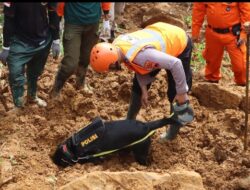 Tim K-9 Polda Jateng Berhasil Temukan Jenazah Bayi 5 Bulan Yang Tertimbun Tanah Longsor