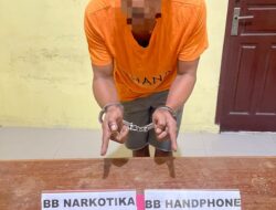 Polisi Ringkus Pengedar Narkoba di Kampar Kiri Tengah, 3 Paket Disita