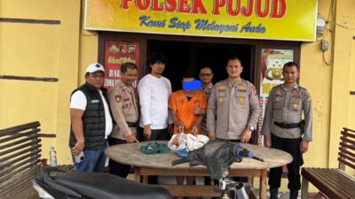 Tak Butuh Waktu Lama, Polsek Pujud Berhasil Menangkap Pelaku Pembunuhan IRT