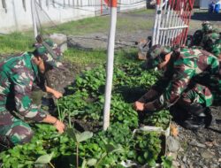 Satgas Yonif 715/Motuliato Giatkan Program Ketahanan Pangan di Perbatasan