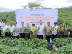 Kakanwil Ditjenpas Jatim Laksanakan Serangkaian Acara Sosial dan Panen Raya, SAE L’SIMA Kembali Tunjukkan Hasil Manfaatnya
