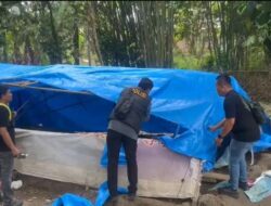 Gerebek 8 Sarang Narkoba, Polrestabes Medan dan Polsek Jajaran Ringkus 14 Pelaku