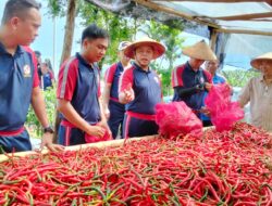 Kepala Zona Bakamla Tengah Pimpin Panen Perdana Cabai di Lahan Mako Baru
