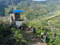 Diatas Lereng-Lereng, Satgas Yonif 715 Giatkan Program Ketahanan Pangan di Daerah Penugasan