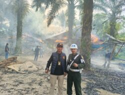 Arena Judi Sabung Ayam di Pancur Batu Digerebek, Denpom I/5 Medan Turun Tangan