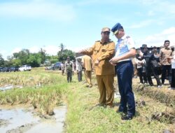 Perkuat Ketahanan Pangan Nasional, Danlanud Sultan Hasanuddin Hadiri Penen Raya Serentak di 14 Provinsi Bersama Presiden RI