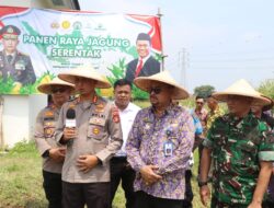Dukung Program Ketahanan Pangan, Kapolres Metro Tangerang Panen Raya Jagung Serentak Sebanyak 2,5 Ton