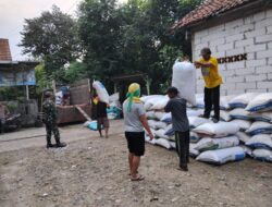 Penyerapan Gabah Babinsa Koramil 10/Sukatani Sejahterakan Petani