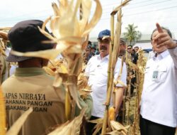 Nusakambangan Panen Perdana, Bangun Lumbung Ketahanan Pangan Dan Beri Kesempatan Warga Binaan