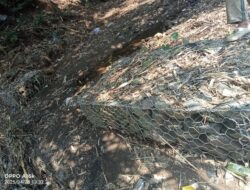Diduga Proyek Bronjong Dam di Desa Tedunan Gringsing Batang Tidak Transparan