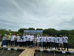 Hijaukan Pesisir, FORHATI dan MD KAHMI Tanam 2.000 Mangrove di Tangerang