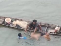 Kaki Kram Saat Berenang, Pemuda Tenggelam di Sungai Kampar 
