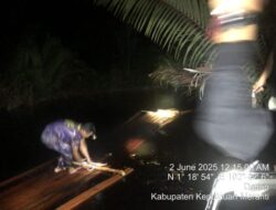 Polisi Temukan 500 Keping Kayu Ilegal di Perairan Desa Dedap, Kepulauan Meranti