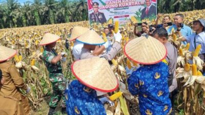 Kapolres Kampar Panen Raya Jagung: Sukses Program Ketahanan Pangan dan Wujudkan Kampar Sejahtera
