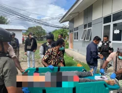 Dua Pekerja Sipil Bangunan Meninggal Dunia Ditembak KKB, Satgas Ops Damai Cartenz Sigap Lakukan Pengejaran dan Evakuasi Korban