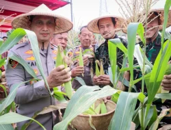 Kapolres Metro Tangerang Kota Panen Jagung Serentak di 4,5 Hektare Lahan Kawasan Cikokol