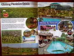 Nasib Pemilik Kavling Cikidang Plantation Estate PT. KGP Tidak Jelas Nasibnya