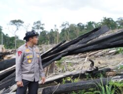 Tindak Tegas Perusakan Hutan, Polda Riau Tegaskan Komitmen Green Policing
