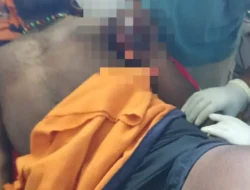 KKB Pimpinan Kalenak Murib Tembak Warga Sipil dan Bakar Honai di Puncak, Tiga Orang Meninggal Dunia