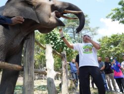 Dalam Rangka HUT Bhyangkara ke 79, Kapolda Riau Kunjungi Taman Nasional Tesso Nilo dan Serukan Perlindungan Gajah dan Lingkungan