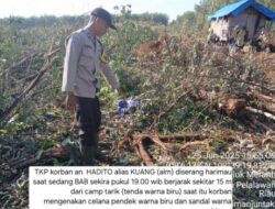 Tragedi Serangan Harimau di Pelalawan, Korban Meninggal Dunia Setelah Diterkam