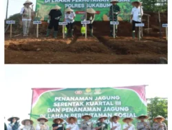 Polres Sukabumi Laksanakan Penanaman Jagung Serentak Dukung Swasembada Pangan Nasional