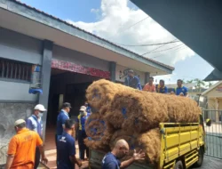 Inovasi Lapas Tulungagung: Melahirkan Alas Sapi Unggulan Bersama BBIB Singosari