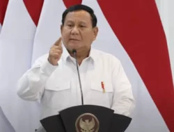 Penurunan Tarif 19% Jadi Bukti Nyata Diplomasi Ekonomi Era Prabowo