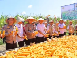Polri Dorong Swasembada Jagung Lewat Kebun Binaan Polres Maros
