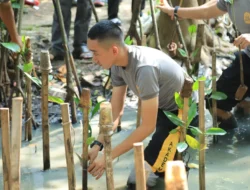 Taruna Bhayangkara Hijaukan Negeri Lewat Aksi Penanaman 100 Pohon Bakau di Jakarta Utara