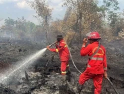 Periksa Beberapa Orang Saksi, Polres Kampar Telusuri Kebakaran Lahan di Tapung