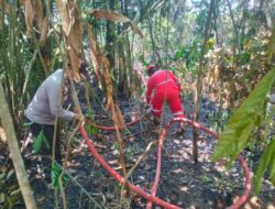 Polresta Pekanbaru, PT PHR dan Warga Padamkan Kebakaran Lahan di Areal Gedung Pramuka Lembah Sari