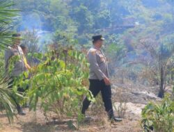 Kapolres Kampar Tinjau Lokasi Karhutla di Perbatasan 50 Kota, Api Berhasil Dipadamkan
