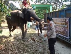 Sinergi Warga dan Polsek Tapung Hilir Lestarikan Gajah, Cegah Konflik Manusia-Satwa