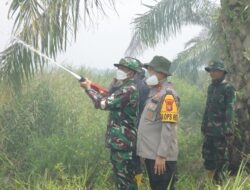 Bersama Wabup dan Dandim 0321, Kapolres Rohil Berjibaku Padamkan Karhutla di Bangko Permata